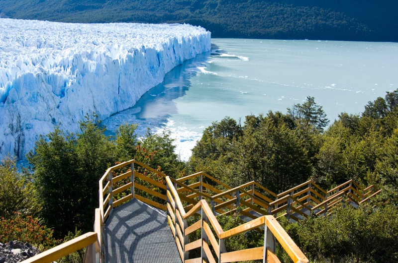 Argentina - Patagonia - Santa Cruz - Glaciar 14 - Galería 800x530